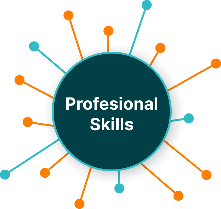 Professional Skills